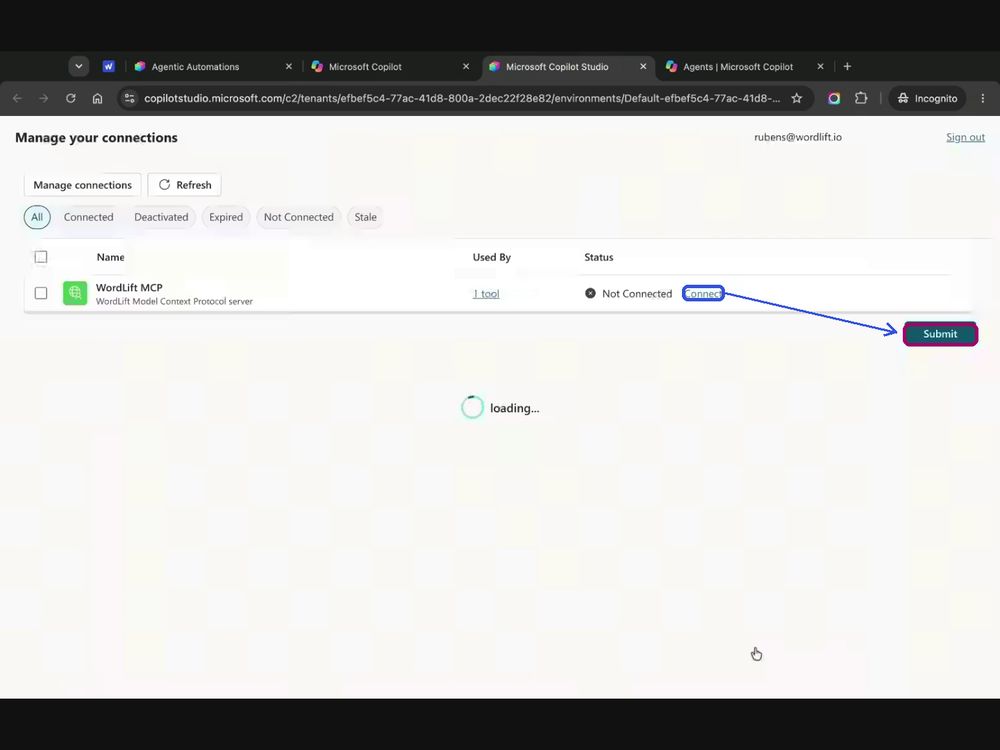 Manage your connections page with WordLift MCP, Connect and Submit highlighted