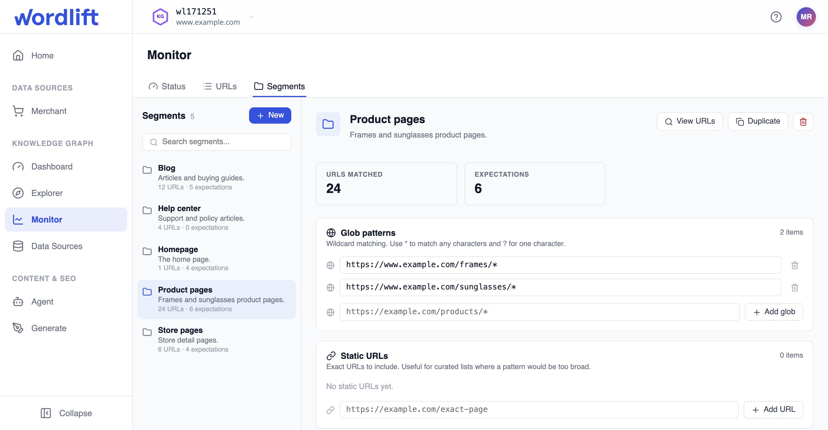Segment editor with glob patterns for a product segment